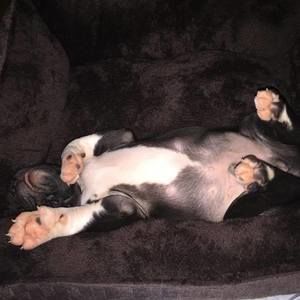 Meet your Posher, Derek